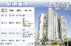 信義開發